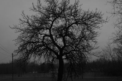 Silhouette bare tree on field against sky
