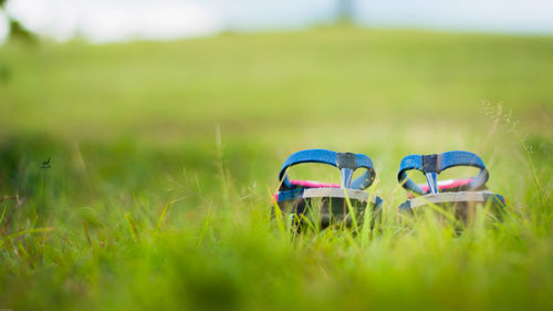 Boy on grass in field