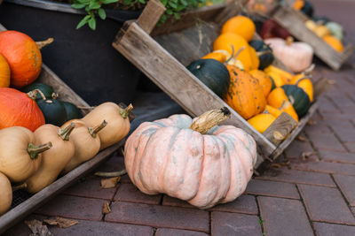 Decorative gourds and mini pumpkins at farmers market.