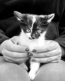 Close-up of man holding kitten