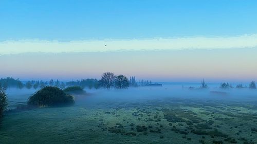 Scenic view of trees in a foggy landscape against clear sky