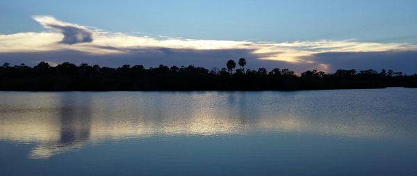 Silhouette of trees at sunset