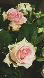 Close-up of rose bouquet