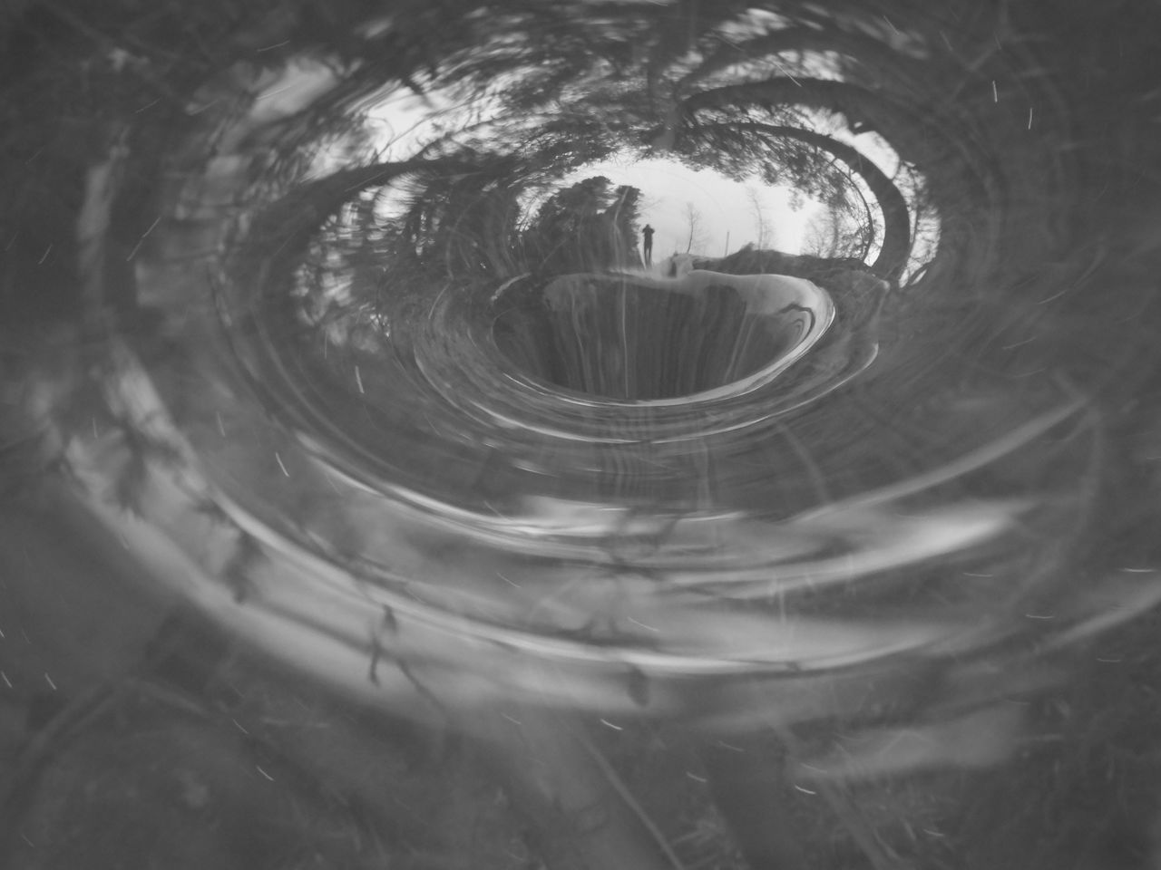 CLOSE-UP OF REFLECTION OF TREES IN GLASS