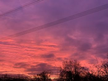 Low angle view of silhouette trees against sky during sunset