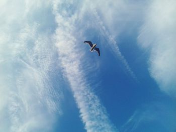 Low angle view of airplane flying against sky