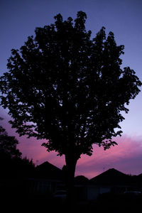 Low angle view of silhouette trees against sky at sunset