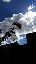 Low angle view of silhouette tree against sky