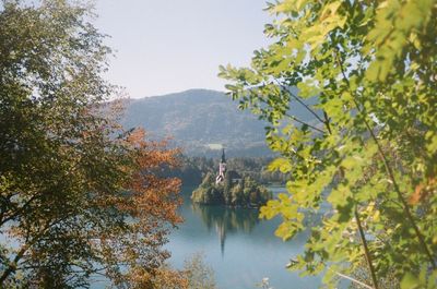 Scenic view of lake amidst trees against sky