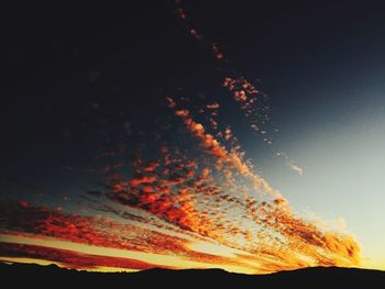 Low angle view of silhouette trees against sky during sunset