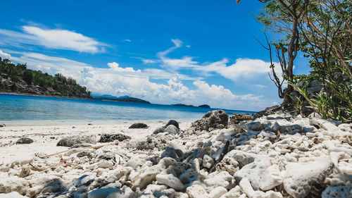 Scenic view of beach against blue sky