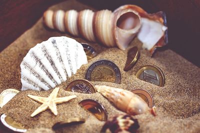 Close-up of seashells by european union coins in sand