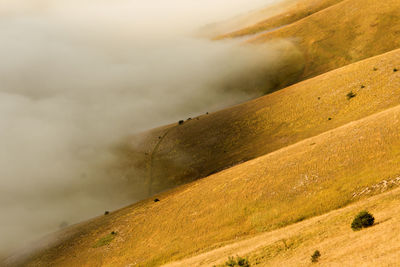 High angle view of mountain