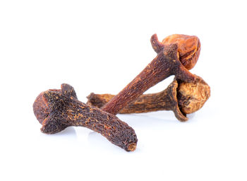 Close-up of dried cloves on white background
