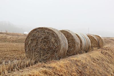 Hay bales on field against sky