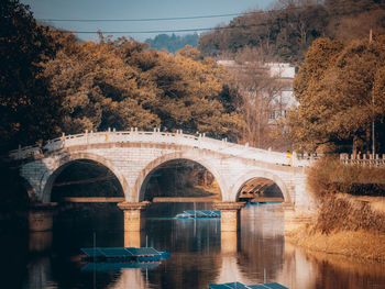 Arch bridge over river against trees