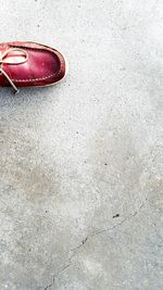 High angle view of red flower