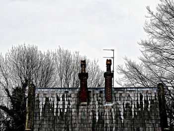 Low angle view of bare trees against the sky