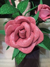 Close-up of pink rose