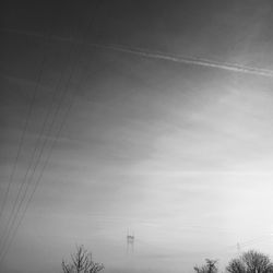 Low angle view of trees against sky