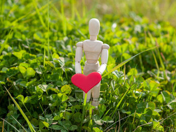 Close-up of heart shape made from plant on field