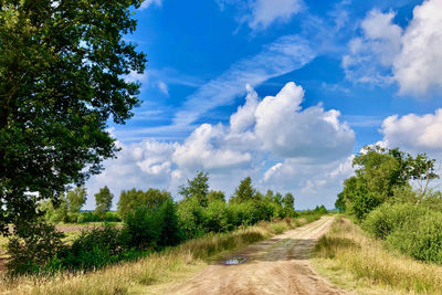 Road amidst trees against sky