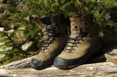 Close-up of shoes on rock