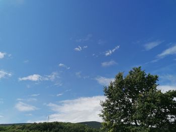 Low angle view of trees against blue sky