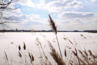Tranquil view of lake against cloudy sky