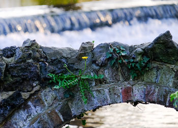 Close-up of water flowing through rocks