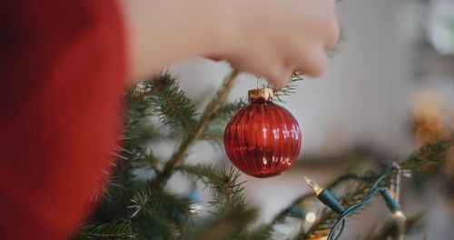 Close-up of bauble hanging on plant