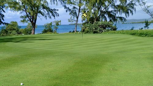 View of golf course