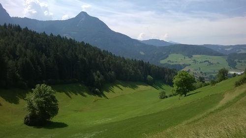 Scenic view of tree mountains against sky