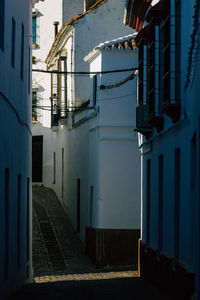 Narrow alley amidst buildings in town