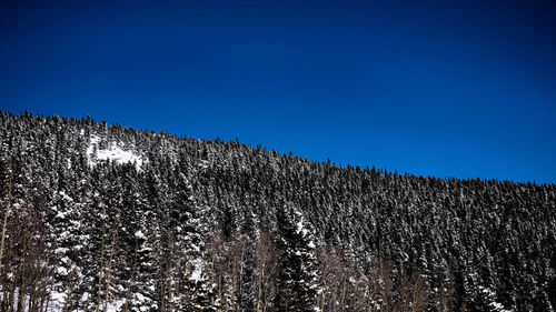 Low angle view of snowcapped mountains against clear blue sky