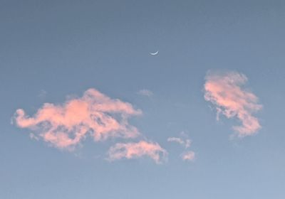 Low angle view of vapor trail in sky