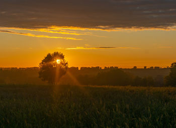 Scenic view of field against sky during sunset