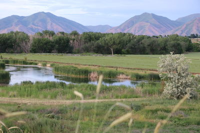 Scenic view of lake and mountains against sky