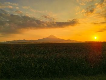 Scenic view of field against sky during sunset