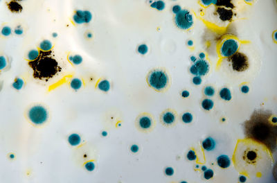 Full frame shot of multi colored candies in water