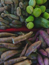 Costa rican vegetable varieties