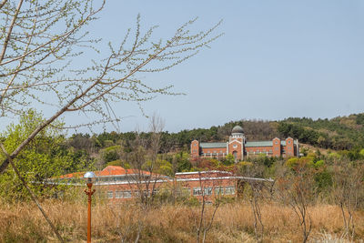 Plants growing on field by building against sky