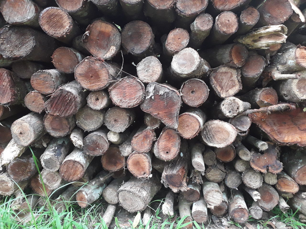 FULL FRAME SHOT OF LOGS