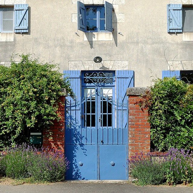 building exterior, architecture, built structure, window, house, plant, residential building, residential structure, door, building, ivy, growth, potted plant, closed, day, wall, facade, outdoors, wall - building feature, no people