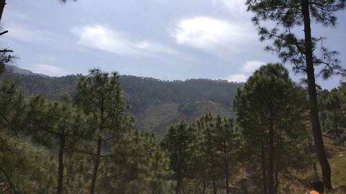 Scenic view of green landscape and mountains against sky