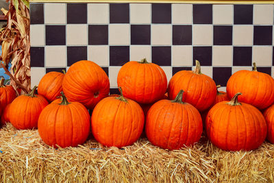 Rows of orange pumpkins stacked on hay bales at market outdoors with checked tiles background 