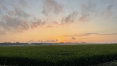 Scenic view of field against sky during sunset