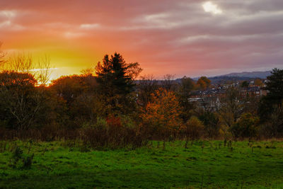 Scenic view of landscape against sky during sunset