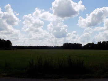 Scenic view of field against sky