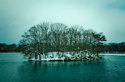 Bare tree by lake against clear sky during winter